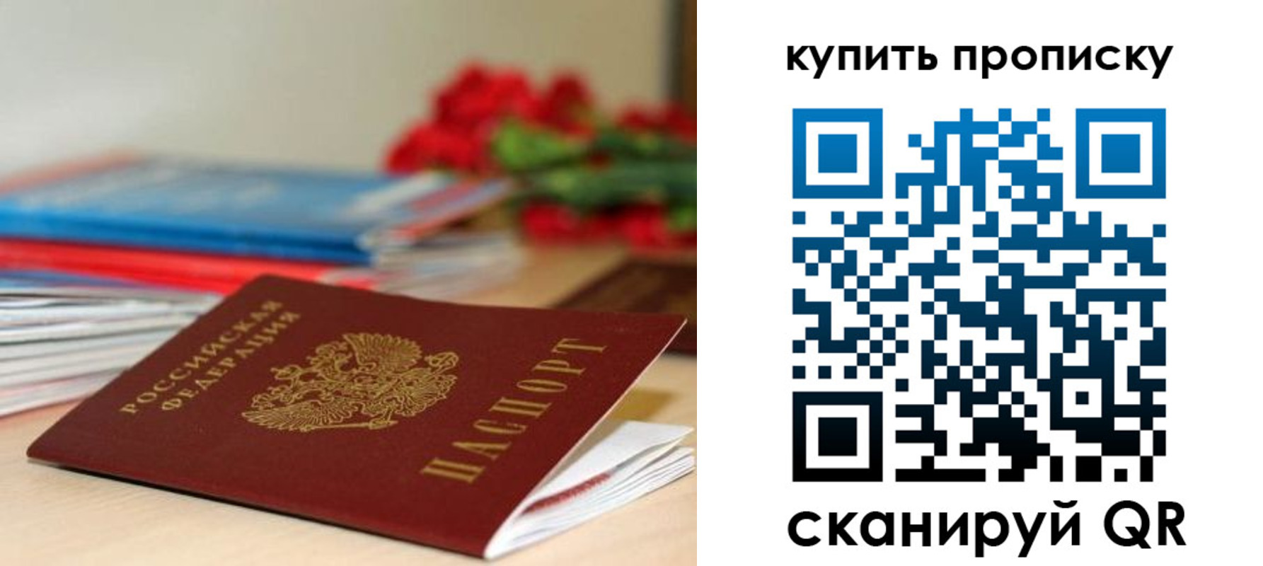 где прописаться в Калининграде